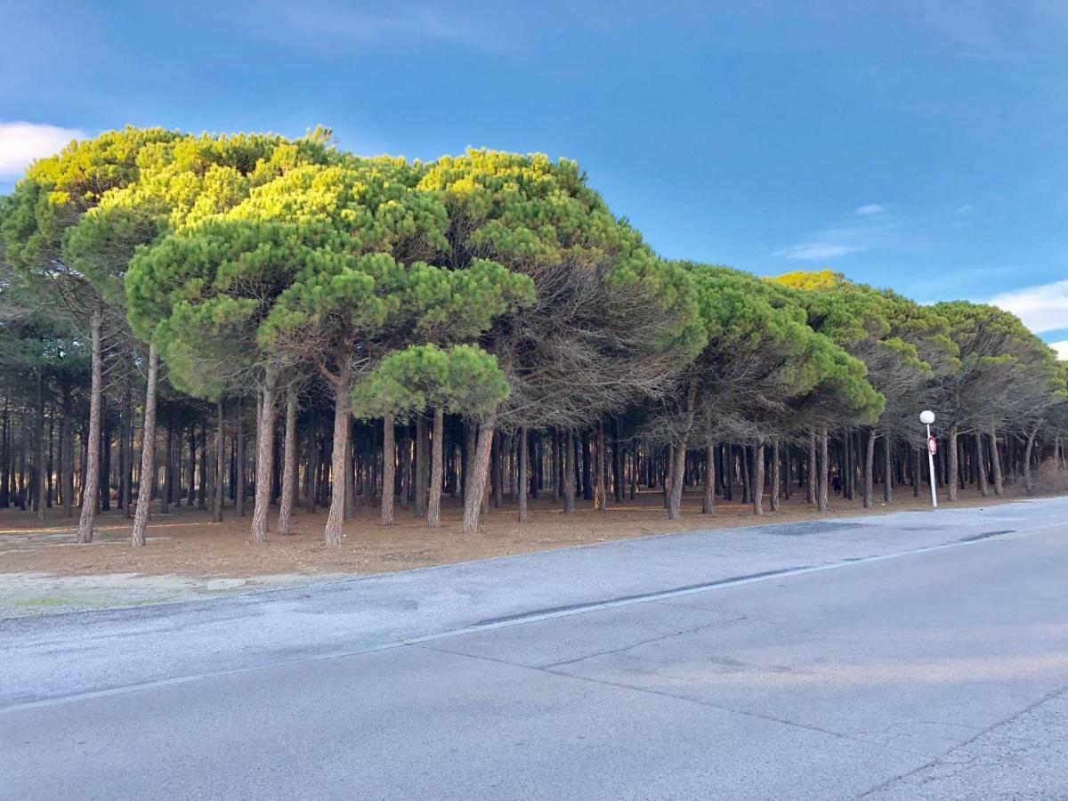 Barcaresa-Villa Vue Mer Acces Direct Plage - Piscine Le Barcares Bagian luar foto